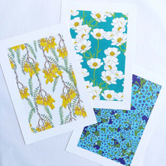 Forget-Me-Not Art Print - Chatham Is NZ Native