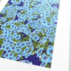 Forget-Me-Not Art Print - Chatham Is NZ Native