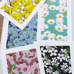 Chatham Island Forget-Me-Not Art Print by Penny Royal