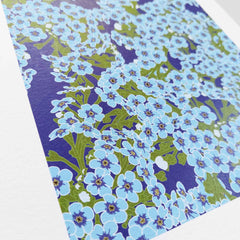 Chatham Island Forget-Me-Not Art Print by Penny Royal