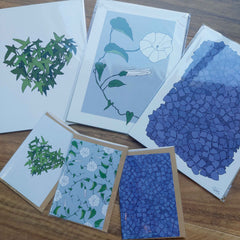Mum's Garden Convolvulus Art Print