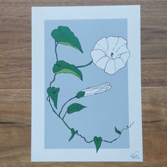Mum's Garden Convolvulus Art Print