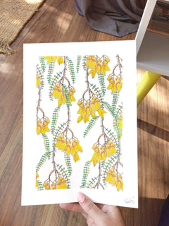 Branches of Kowhai Art Print