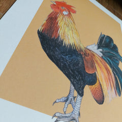 Rooster Art Print