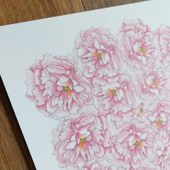 Pink Peonies Art Print