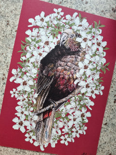 Kaka + Manuka, Penny+Lesh Collab, art prints