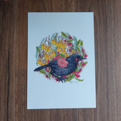 Penny + Lesh Collab Collection, Saddleback, Penny+Lesh Collab, art prints, Penny Royal Design, birds