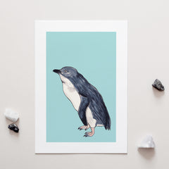 Little Blue Penguin Art Print for sale