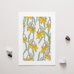 Branches of Kowhai Art Print