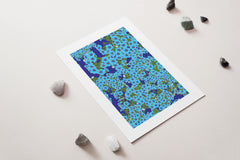 New Zealand Native Chatham Island Forget Me Not Blue Flower Art Print for sale