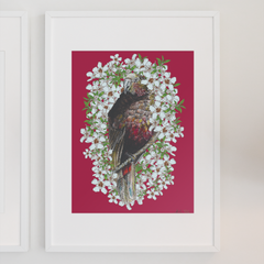Kaka + Manuka, Penny+Lesh Collab, art prints