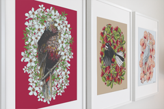 Kaka + Manuka, Penny+Lesh Collab, art prints